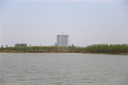 河南周口示范区 一二四六工程 点亮城乡发展新图景